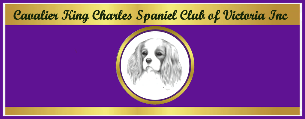 Cavalier King Charles Spaniel Club of Victoria Inc.